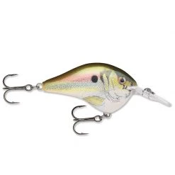 Rapala DT (Dives-To) Series Crankbaits