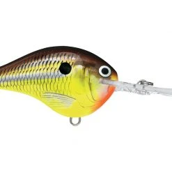 Rapala DT (Dives-To) Series Crankbaits