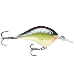 Rapala DT (Dives-To) Series Crankbaits