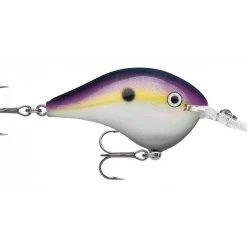 Rapala DT (Dives-To) Series Crankbaits