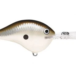 Rapala DT (Dives-To) Series Crankbaits