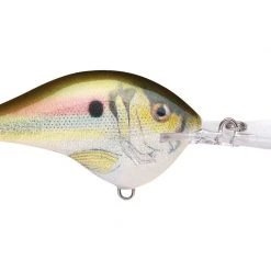 Rapala DT (Dives-To) Series Crankbaits