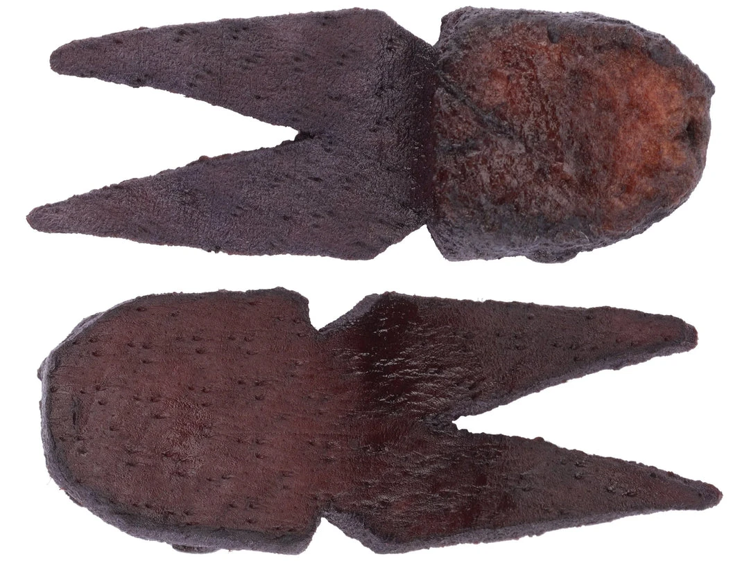 Soft Baits Uncle Josh Pork Frog Trailers 4 Soft Baits Uncle Josh Pork Frog Trailers